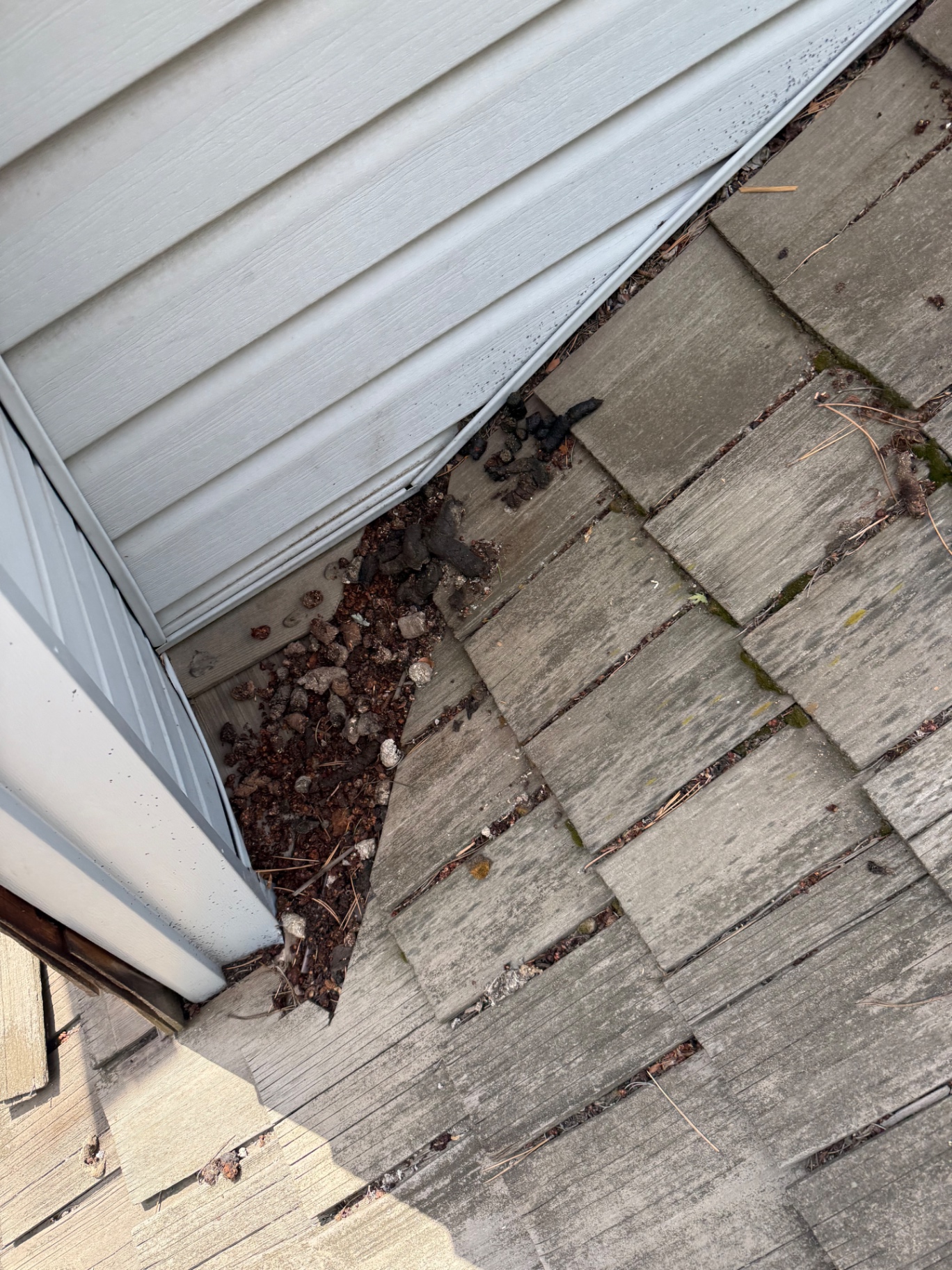 Close-up of cedar shake roof condition near siding at Centennial home