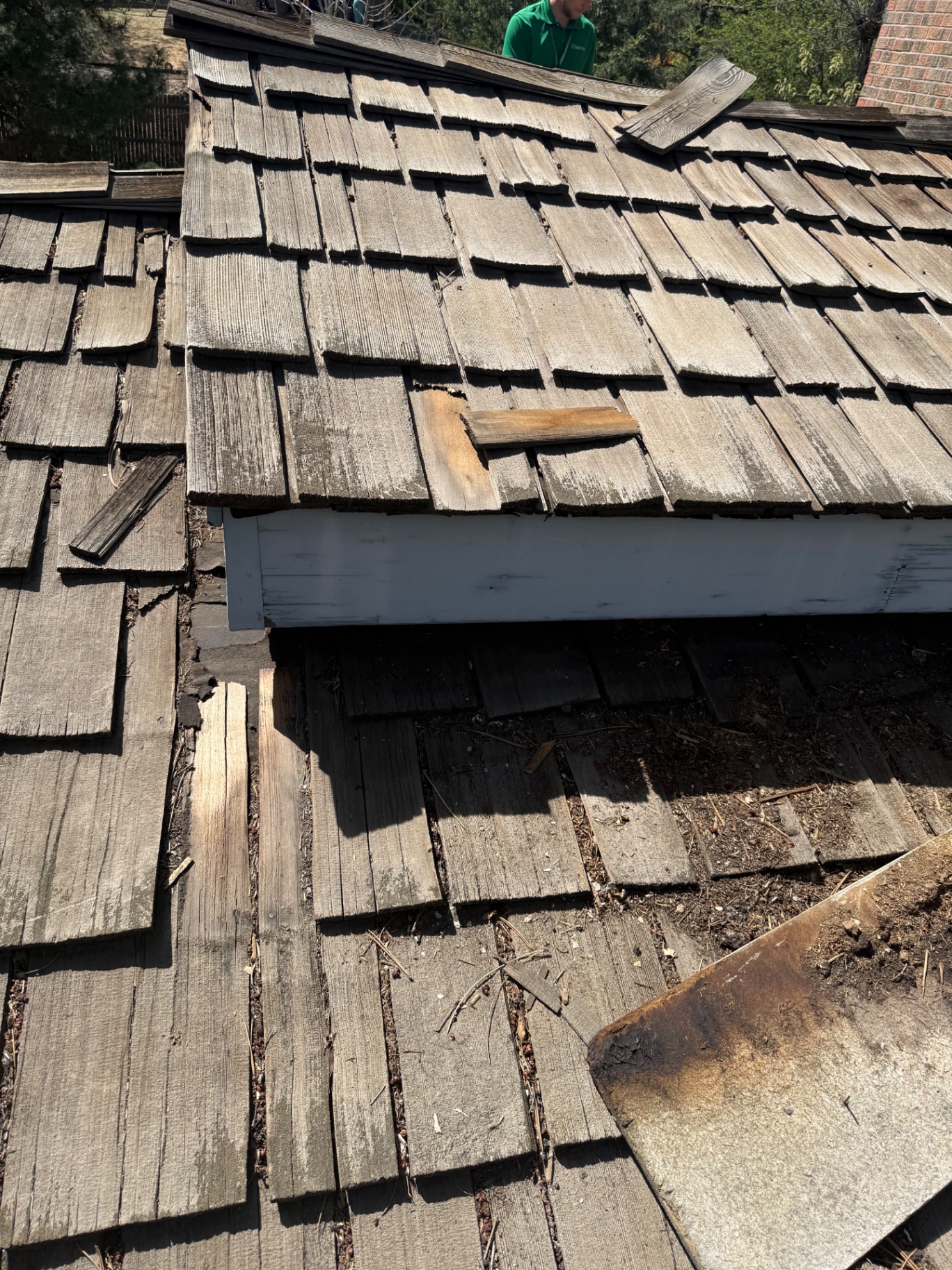 Damaged cedar shake roof section on Centennial house
